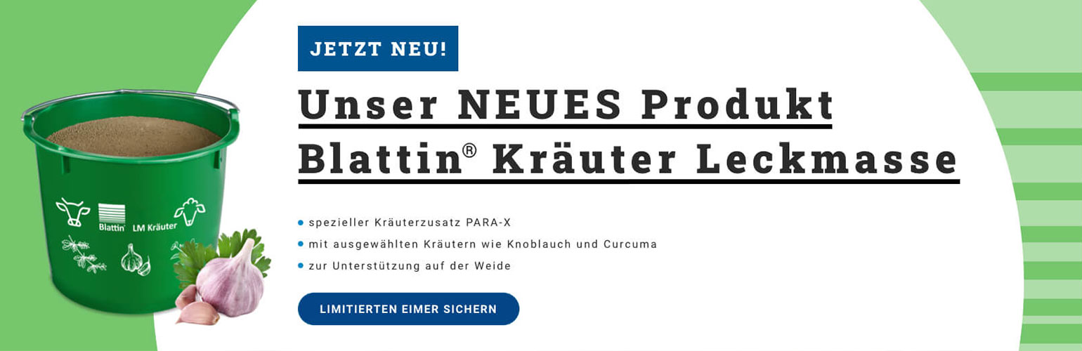 Neu: Blattin Leckmasse Kräuter